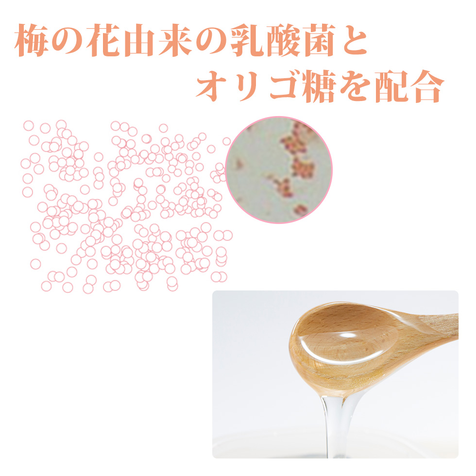 吸収性のよい乳酸菌である「梅の花由来の乳酸菌」と、オリゴ糖を配合。スッキリした甘さが特徴です。