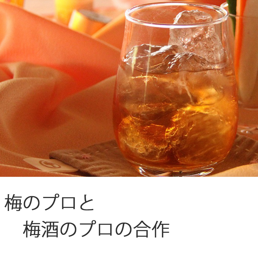 月向農園と中野BCが共同で作り上げた、梅の風味が際立つコク深いご当地コラボ梅酒