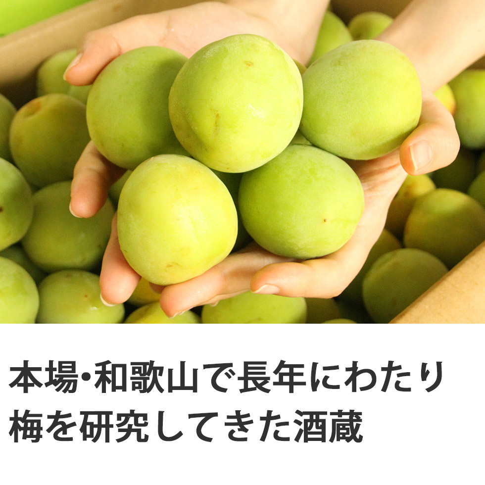 中野BCの技術で、梅のエキス分をギュッと濃縮した梅シロップとなっています。