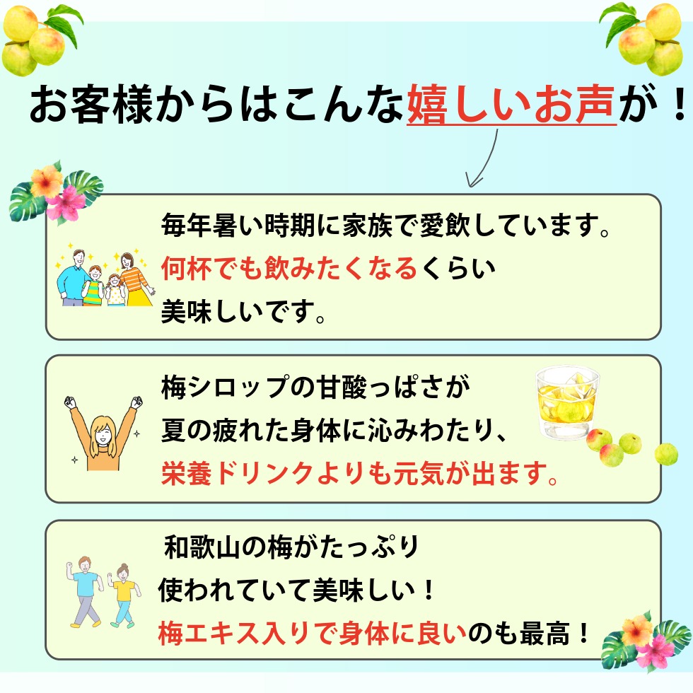 「さっぱりして甘さもちょうどいい」と高評価！クエン酸補給や炭酸割りでも楽しめる、甘酸っぱい味わいの梅シロップのレビュー紹介