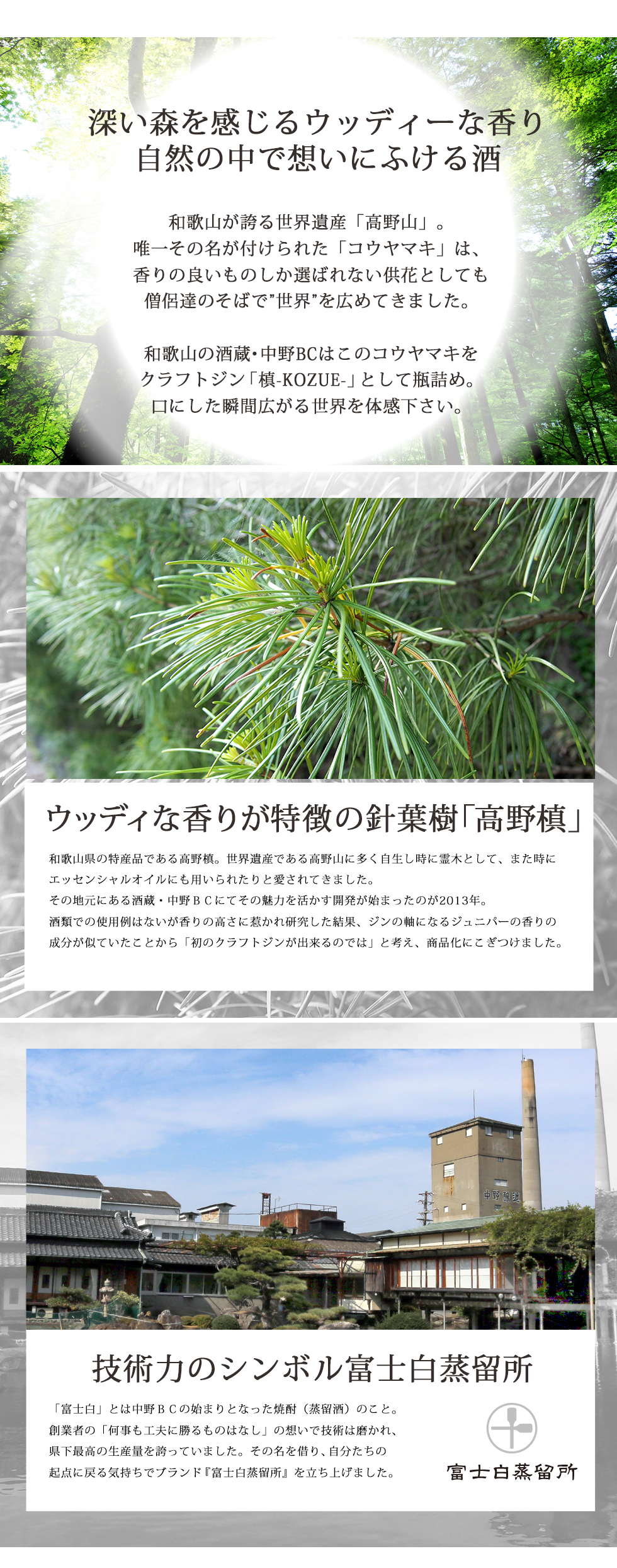 槙-KOZUE-は針葉樹コウヤマキを使用したクラフトジンです