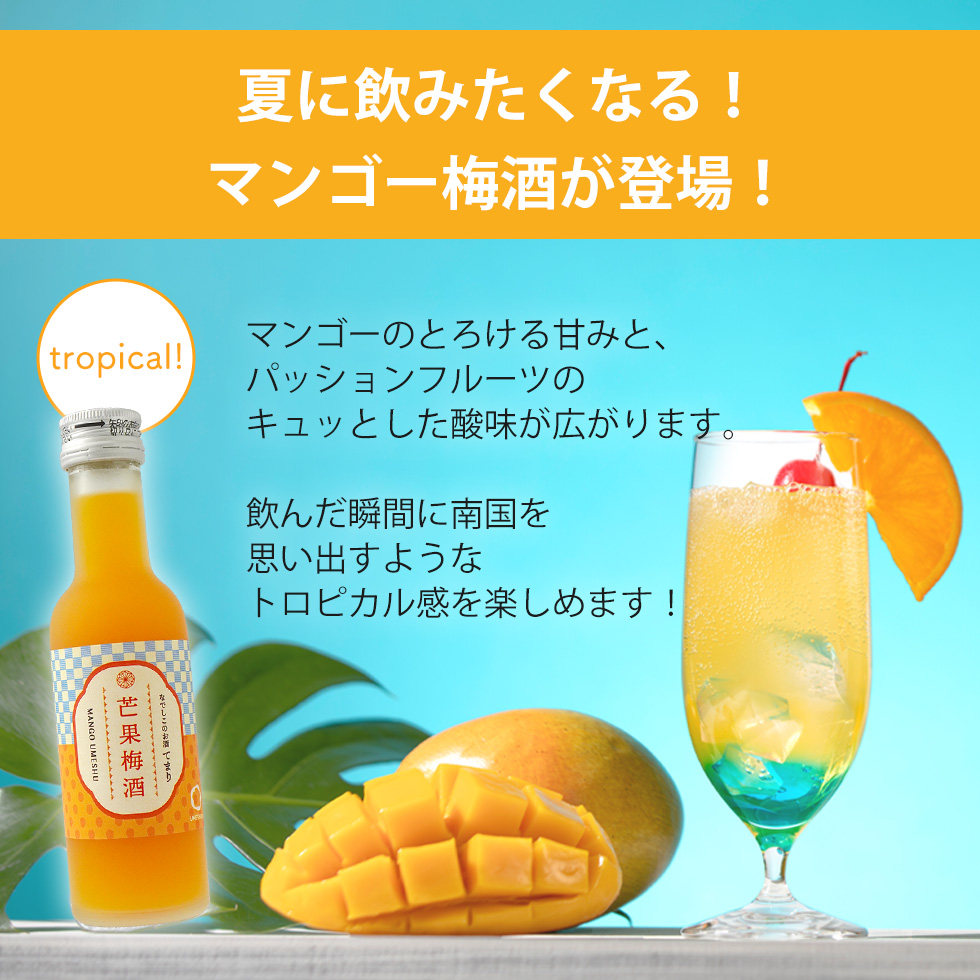 限定のマンゴー梅酒の紹介