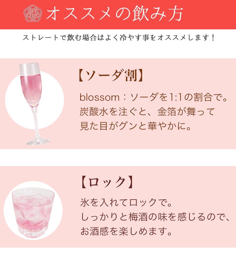 おすすめの飲み方