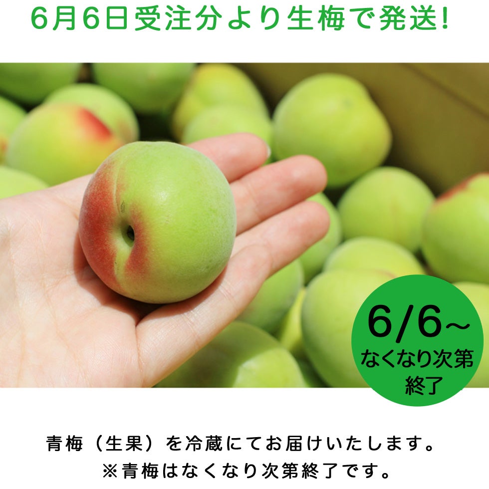 NIJYUMARU(にじゅうまる)セット