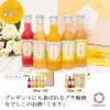 色々味わいたい飲みきりサイズの梅酒セット