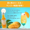 商品紹介